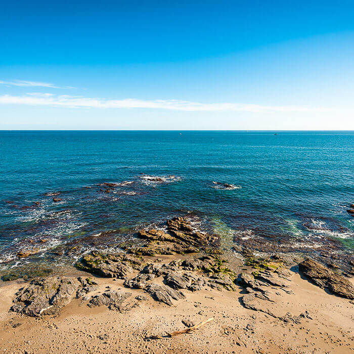 El Faro guide. El Faro’s role is to warn of an impending rocky shoreline