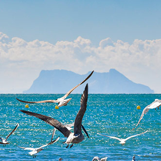 Les plages d'Estepona. Aranya Estepona