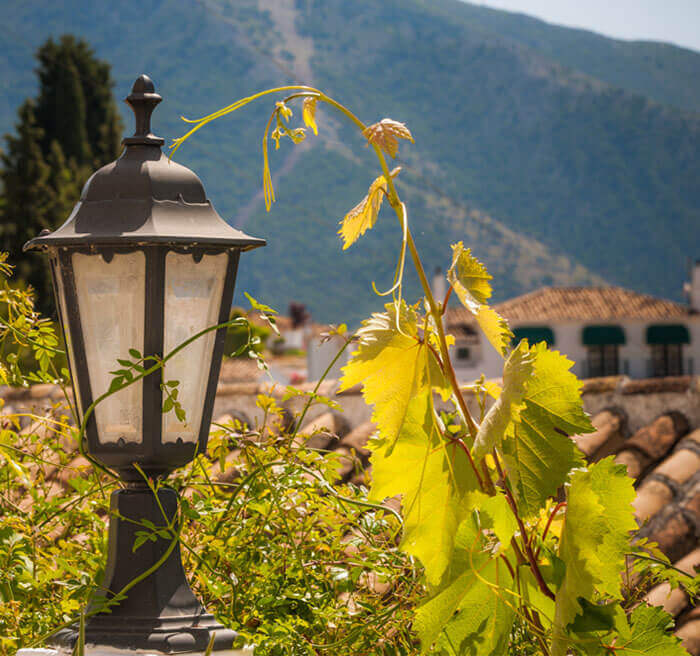 Mijas Pueblo Guide - Laidback life in Mijas mountains