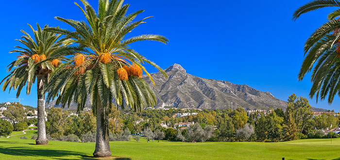 Nueva Andalucía Guide - Tranquil setting close to Marbella town centre and Puerto Banús