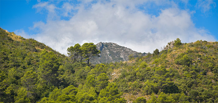 Ojén Guide - Breathaking mountain scenery... home to a vast estate owned by Julio Iglesias