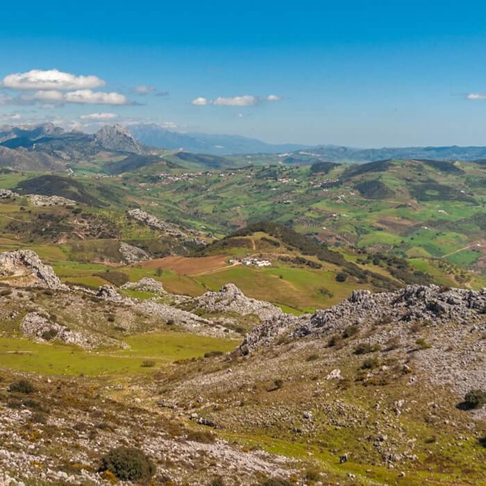 Ronda Guide - Spectacular Sierra de la Grazalema landscape
