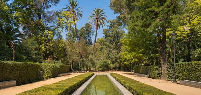 Sevilla's refreshing green lung -  cool shade for visitors