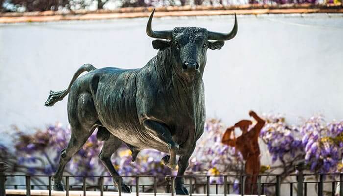 Why does bullfighting cause political controversy in Spain? Bull sculpture in Ronda