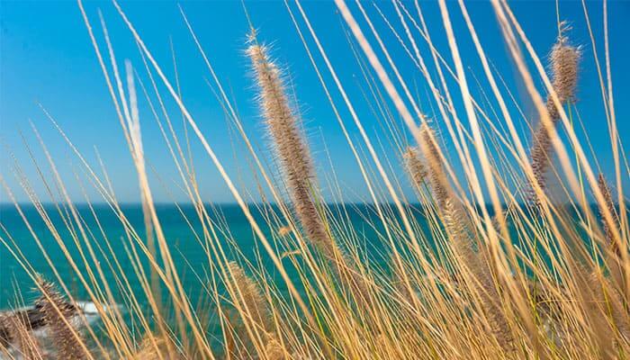 3 Spanish expressions that describe April down to a tee. “Abril frío, poco pan y poco vino”