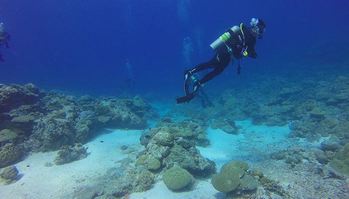 Scuba diving on the Costa del Sol