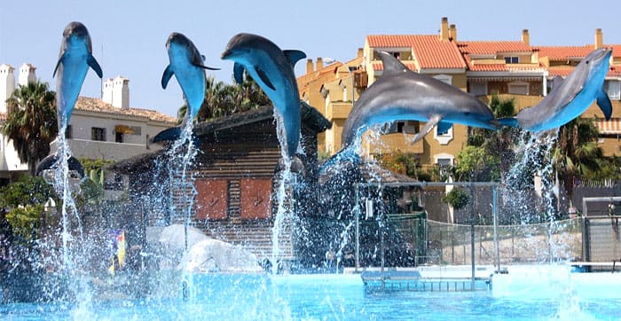 5 great family plans for the Easter holidays in Benalmádena, Costa del Sol: Selwo Marina