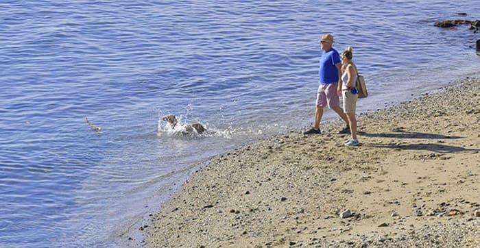 Your Guide To Riviera del Sol, Mijas Costa: walking on the beach