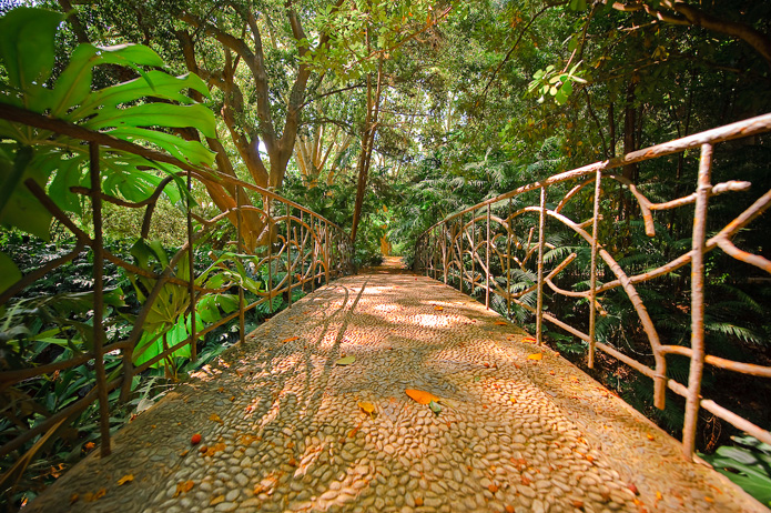 There are more than 4km of leafy walks and tracks to explore  