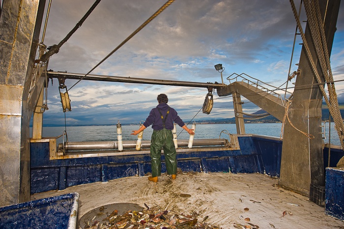 On the lookout for a shoal of fish.