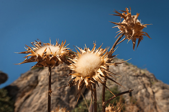 Rugged landscapes.