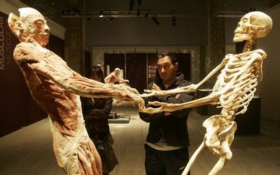 Human Body Exhibition Marbella