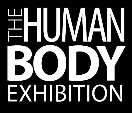 Human Body Exhibition Marbella