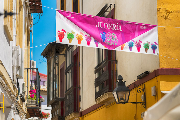 Flower power - Córdoba Festival of Patios 2013