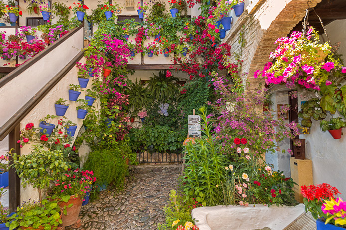 Flower power - Córdoba Festival of Patios 2013