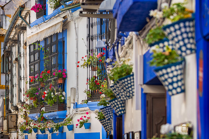 Flower power - Córdoba Festival of Patios 2013