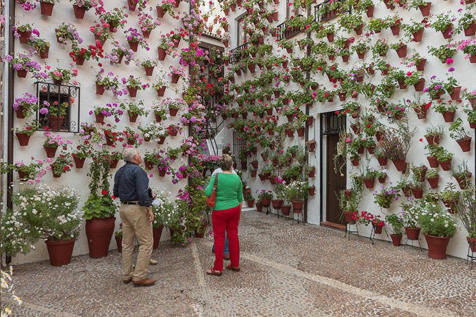 Flower power - Córdoba Festival of Patios 2013