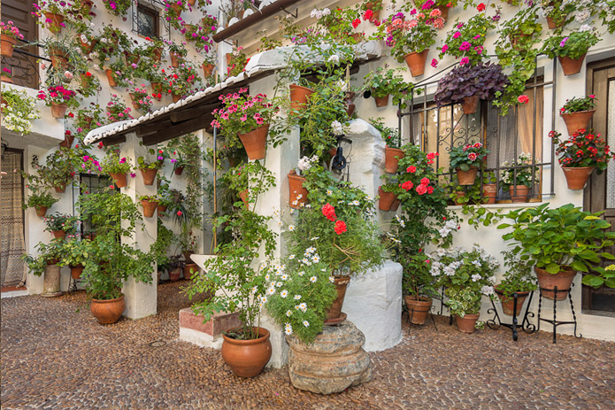 Flower power - Córdoba Festival of Patios 2013