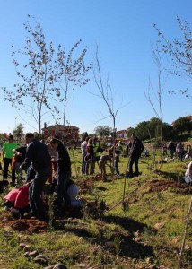 #100personas1000arboles