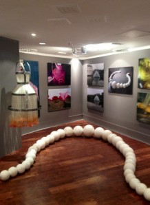 'Live your dream' exhibition in Marbella