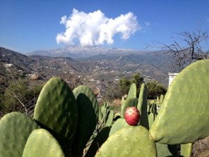 costa-del-sol-inland-scenery