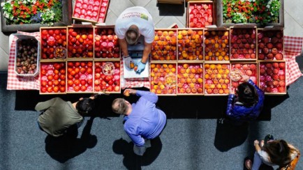 Everything is peachy for Spain's agricultural sector, but oversupply headaches still persist.