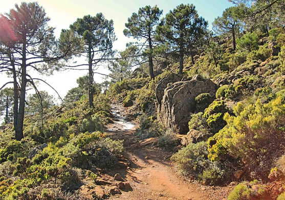 estepona_sendero