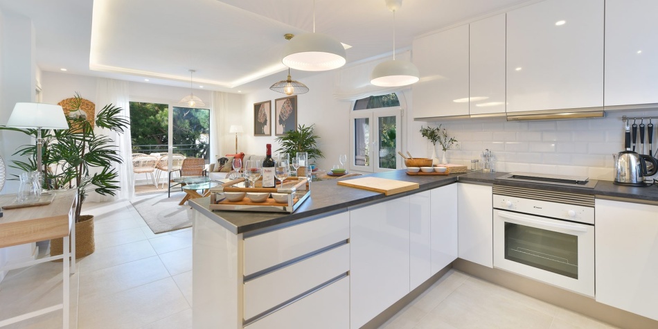 Kitchen and living room