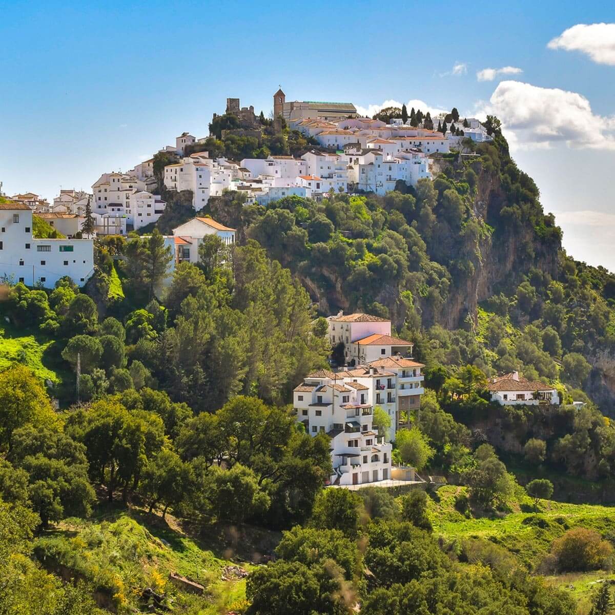 Casares Guide. General information about Casares Spain